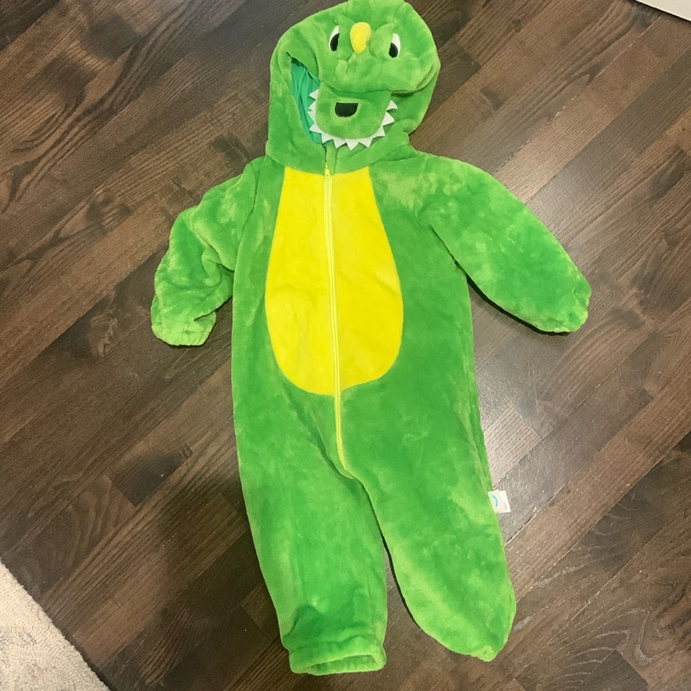 12 month dinosaur costume